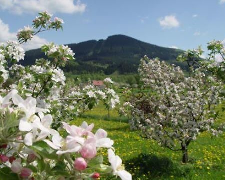 Agropenzion Lhotka Lhotka  Kültér fotó