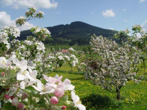 Agropenzion Lhotka Lhotka  Kültér fotó